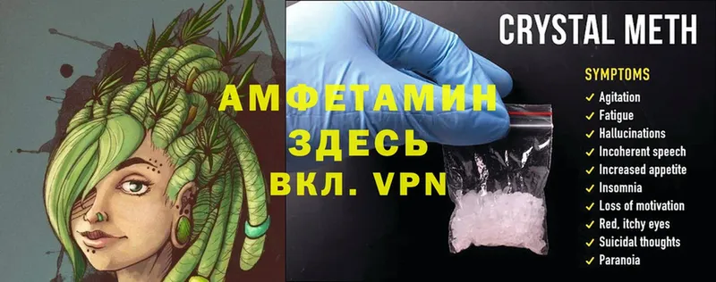 Amphetamine 97%  цена наркотик  Гдов 