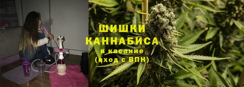 МАРИХУАНА White Widow  Гдов 